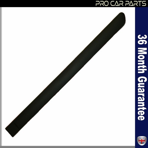 Door panel trim moulding strap - panel,